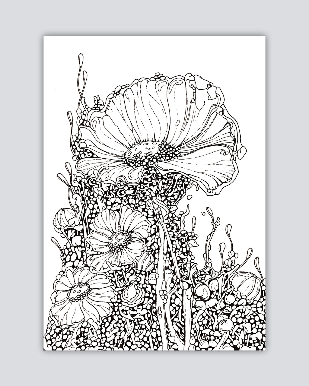 Bioform X5B - Print