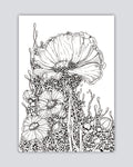 Bioform X5B - Print