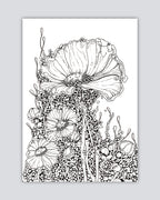 Bioform X5B - Print