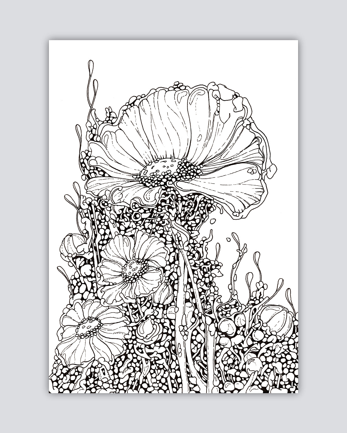 Bioform X5B - Print