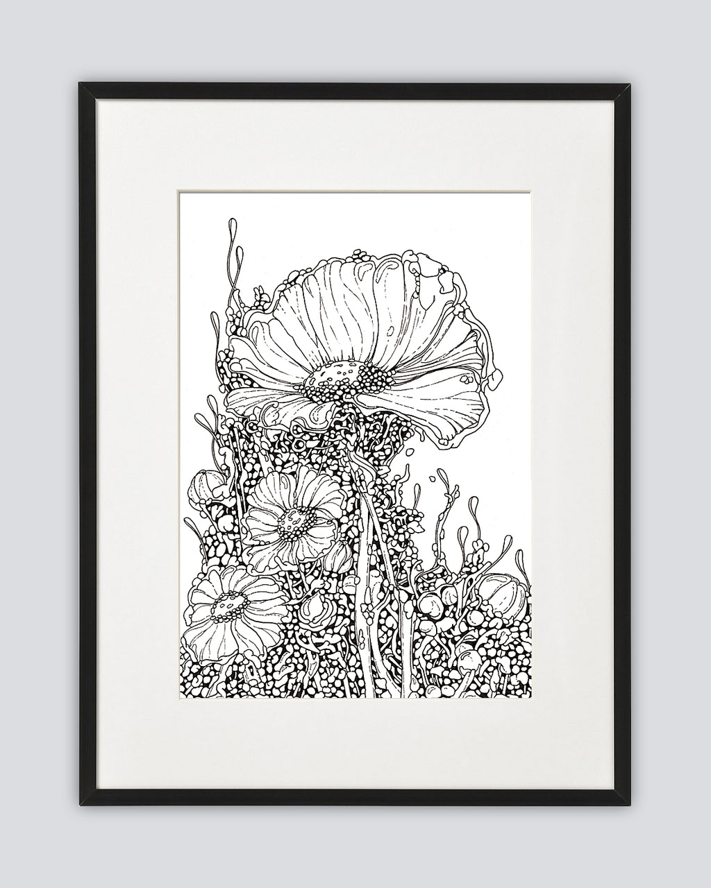 Bioform X5B - Original