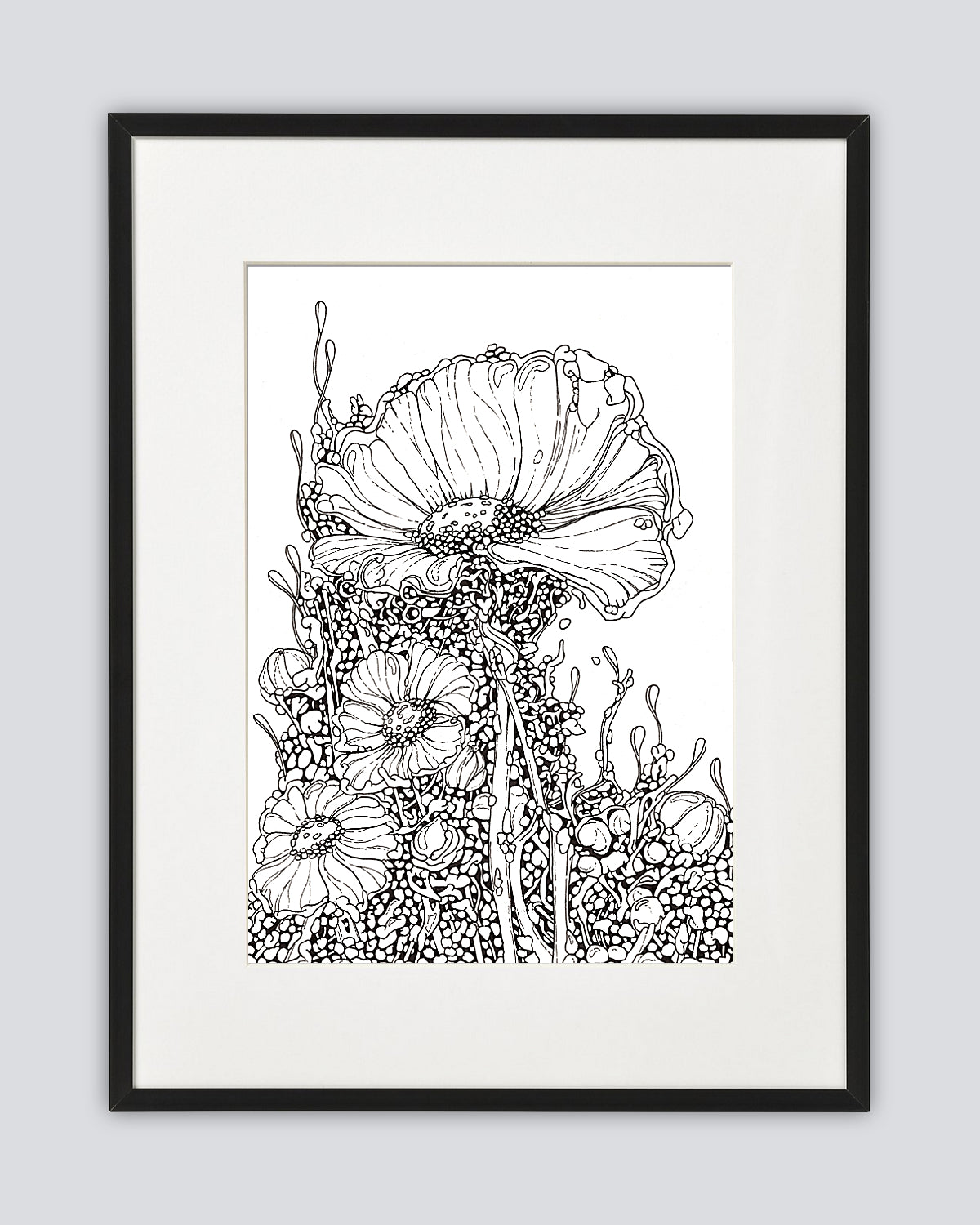Bioform X5B - Original