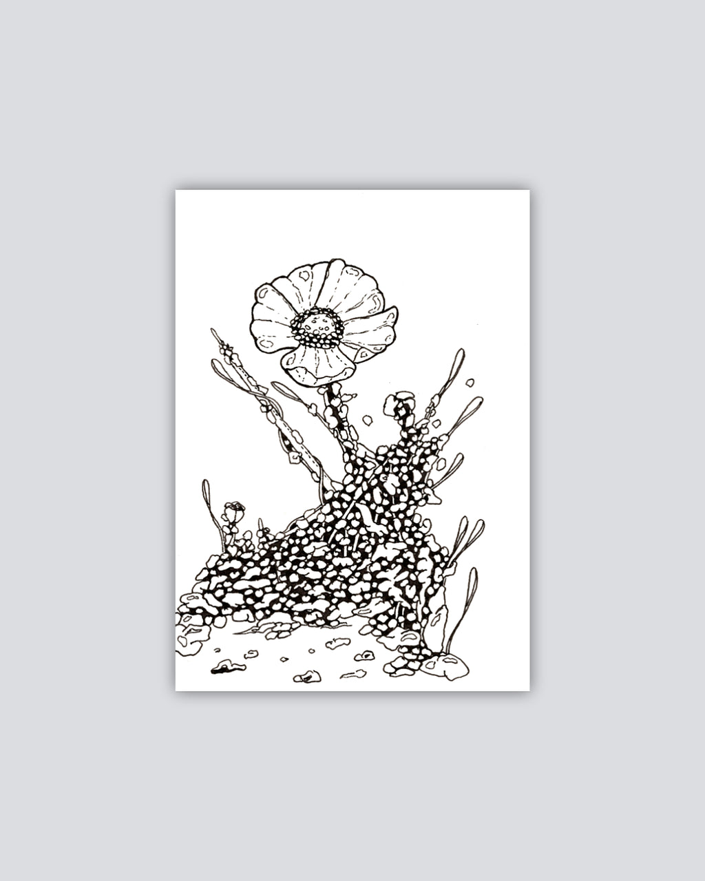 Bioform Z2F - Print