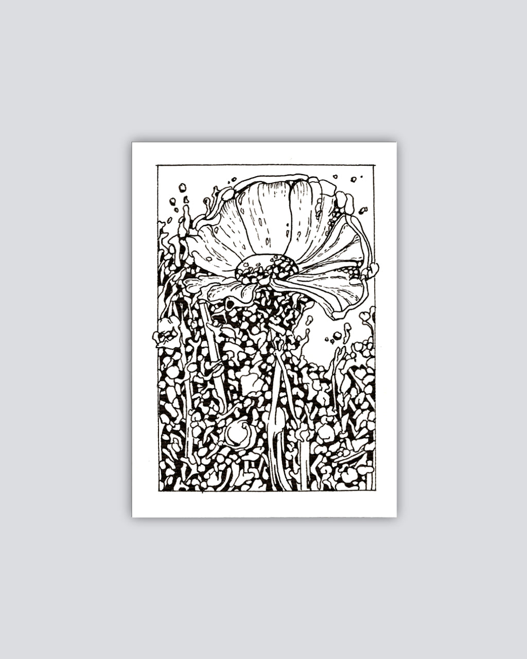 Bloom No.6 - Print