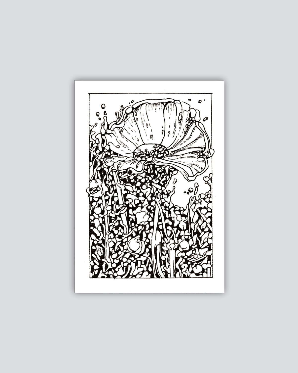 Bloom No.6 - Print