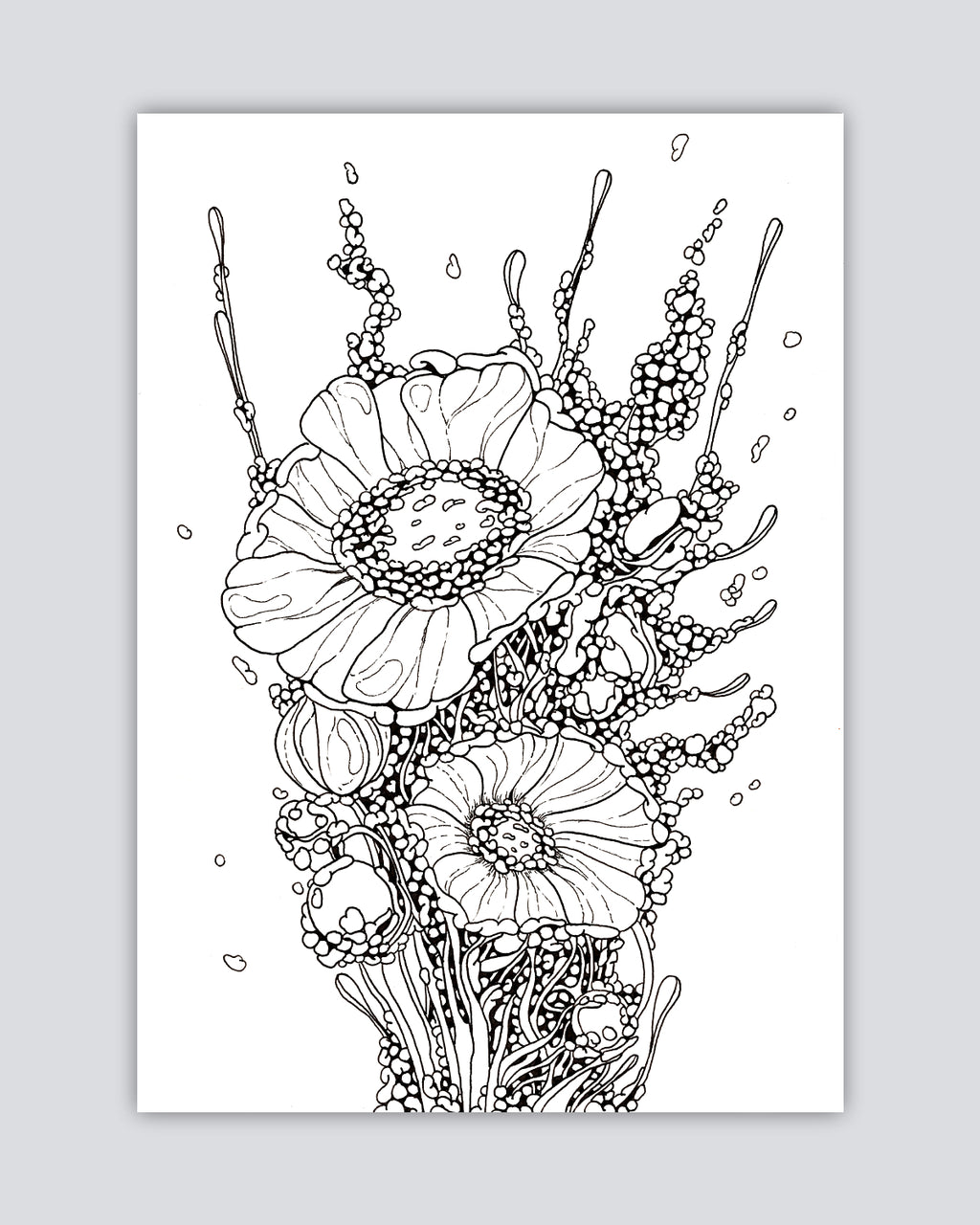 Celltype A97 - Print