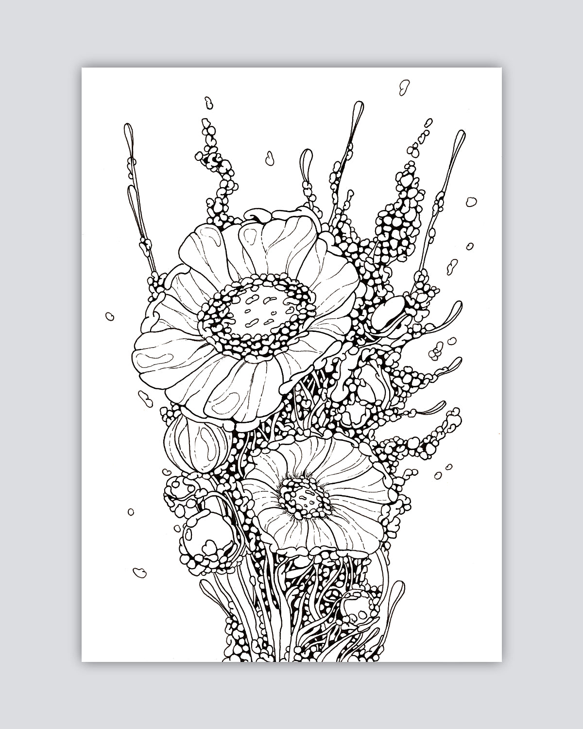 Celltype A97 - Print