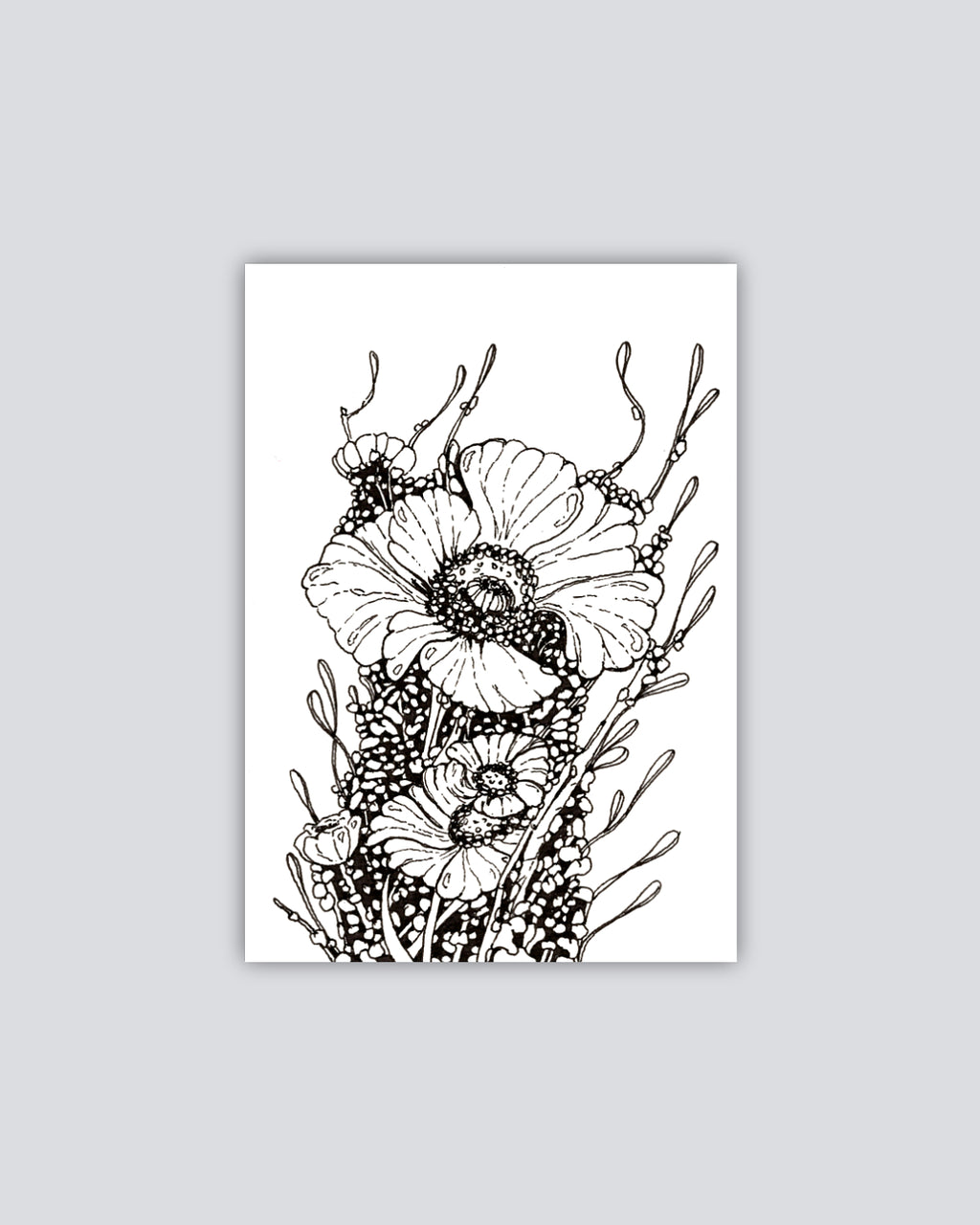 Celltype H-29 - Print