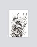 Celltype H-29 - Print