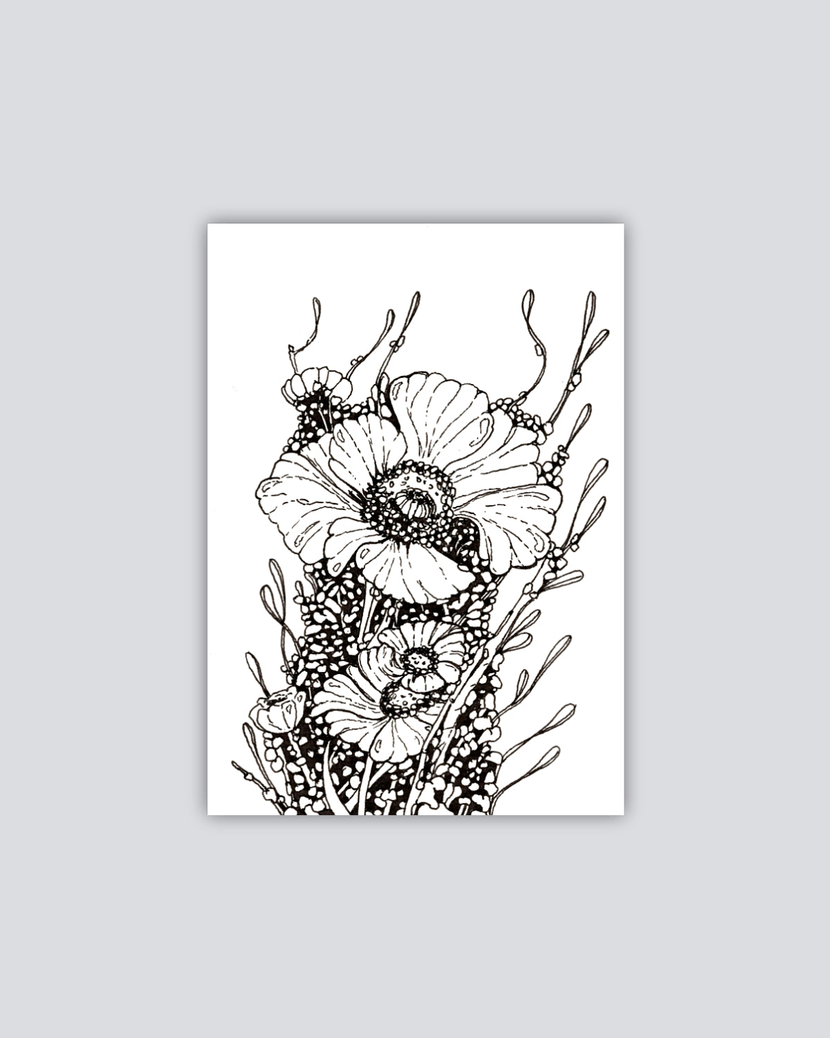 Celltype H-29 - Print
