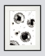 Colony Cluster - Original