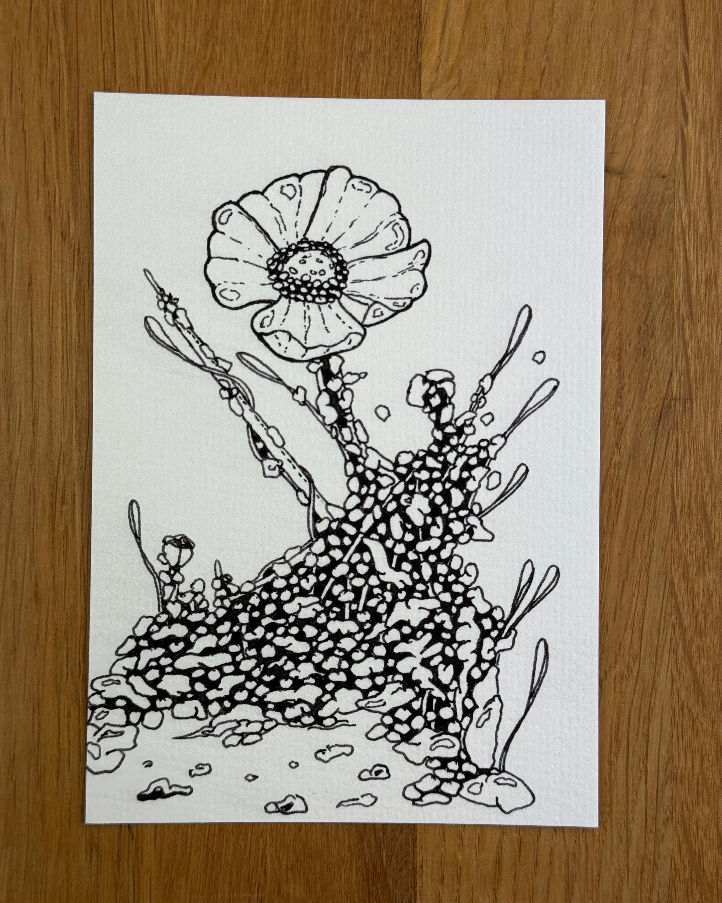 Bioform Z2F - Print
