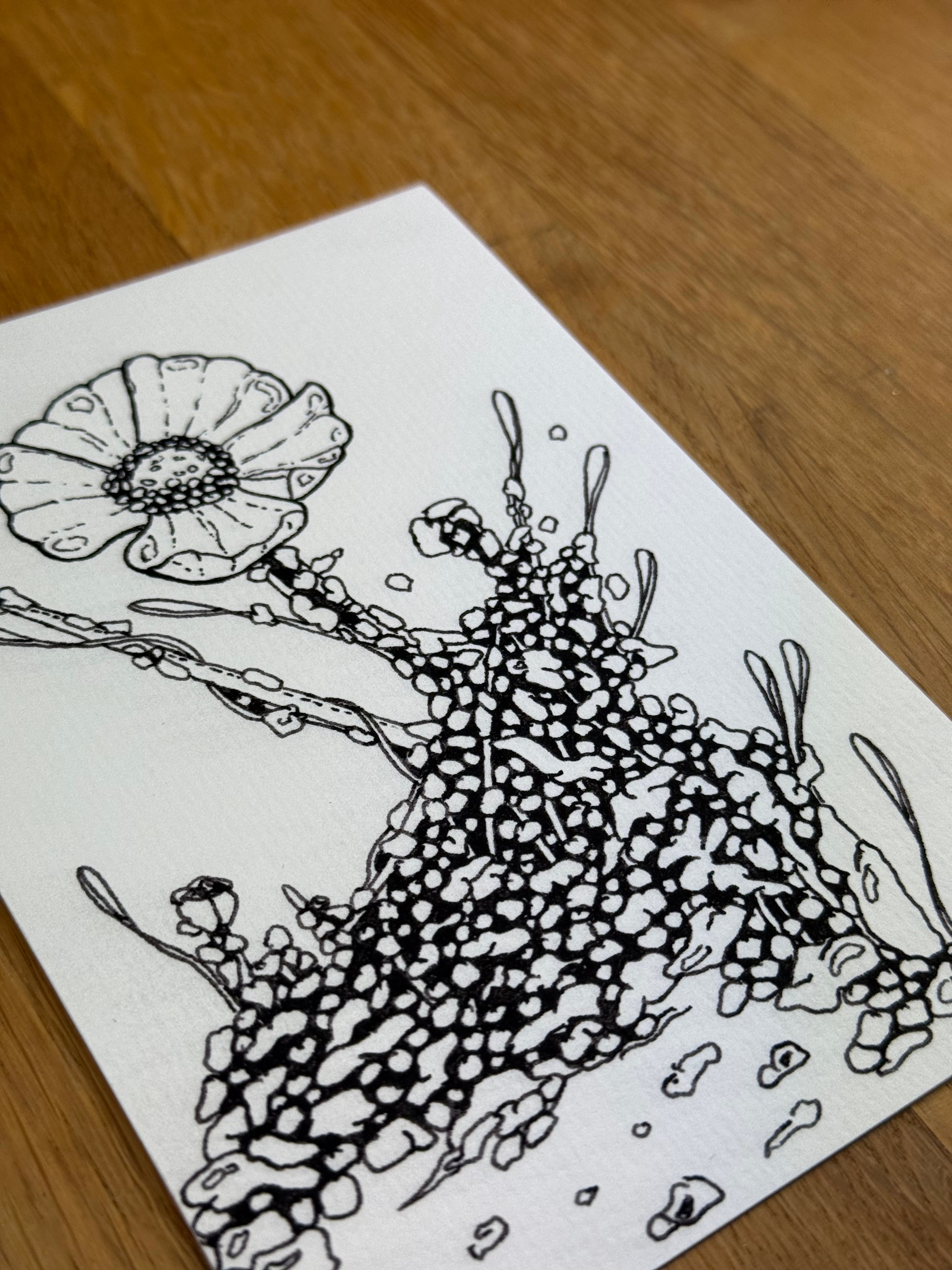 Bioform Z2F - Print