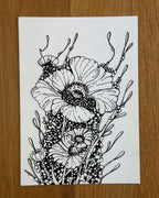 Celltype H-29 - Print