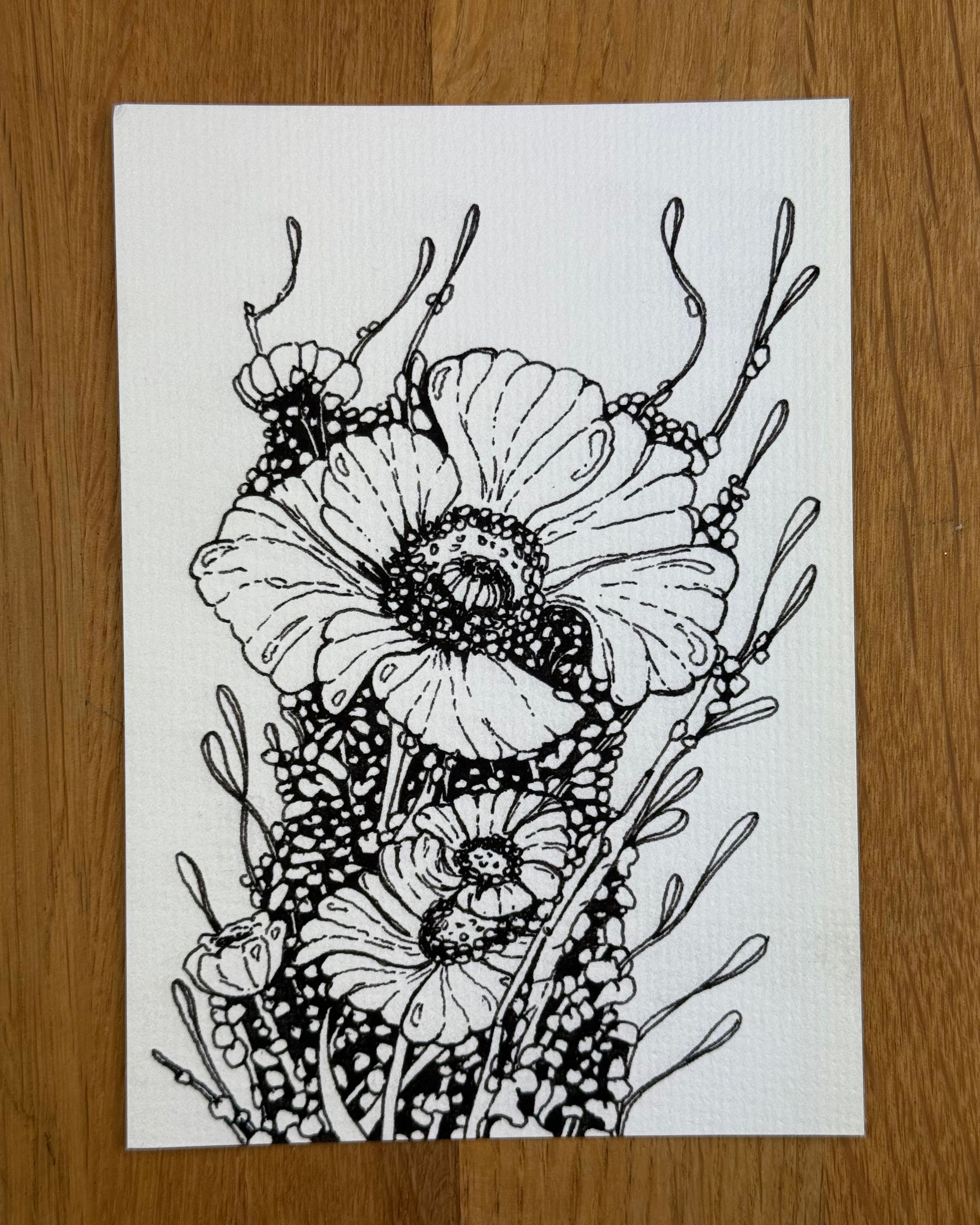 Celltype H-29 - Print