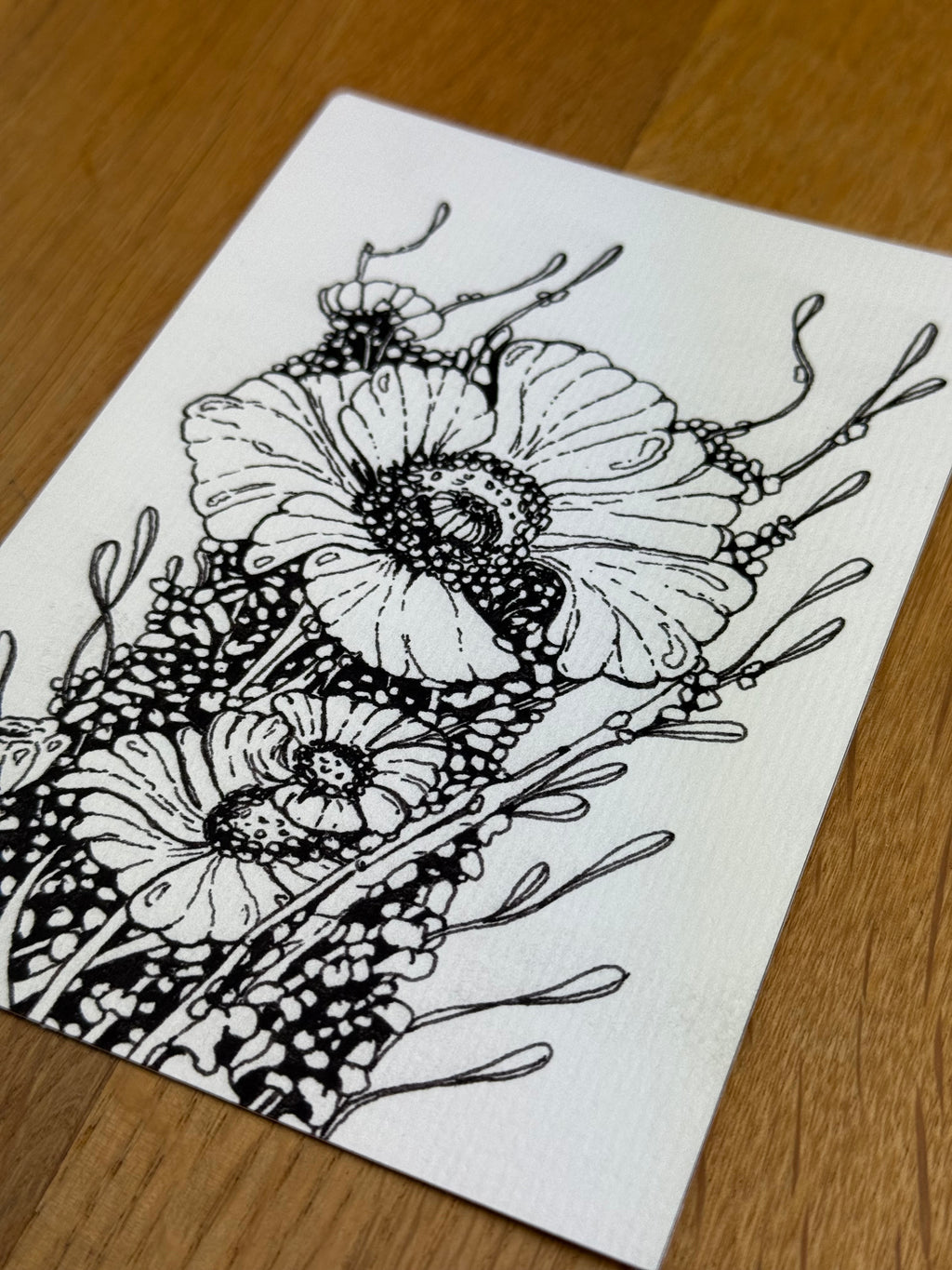 Celltype H-29 - Print