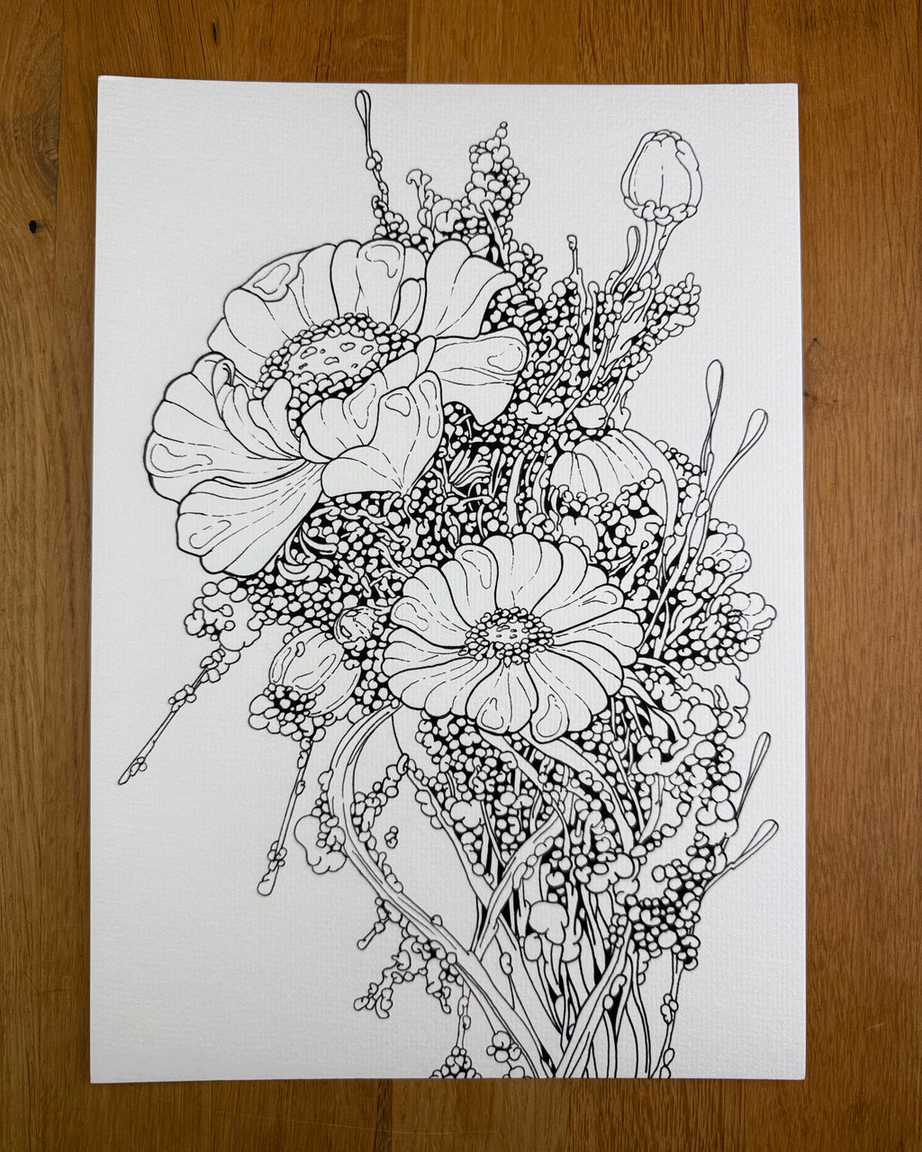 Root Entity v42 - Print