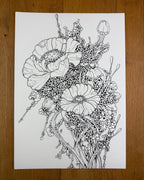 Root Entity v42 - Print