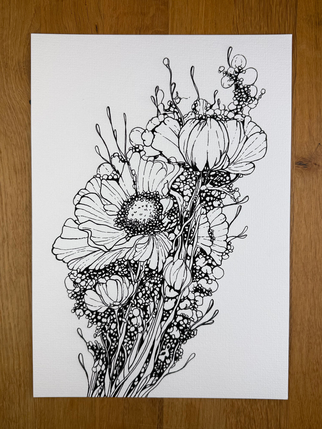 Root Entity v12 - Print