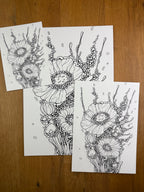 Celltype A97 - Print