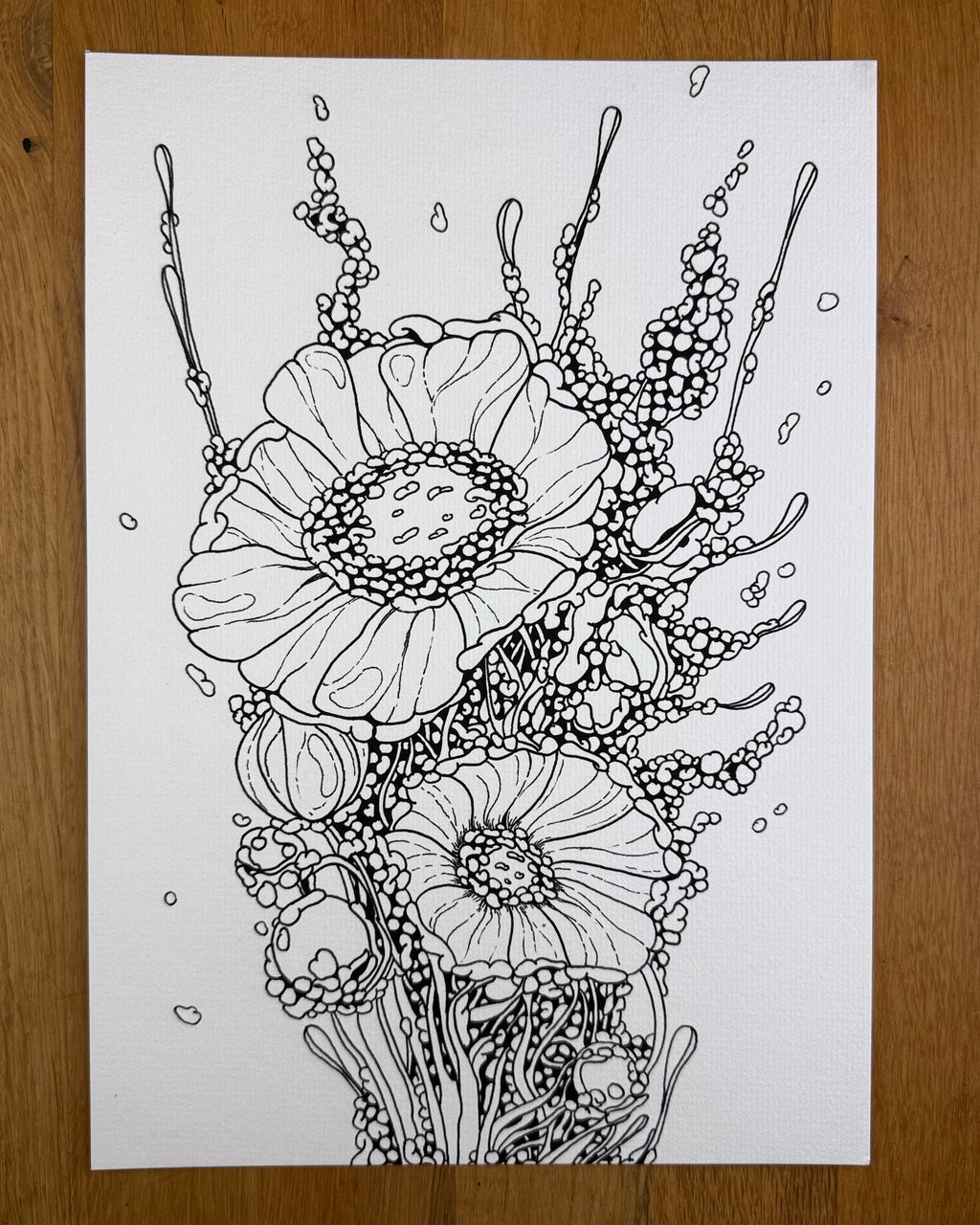 Celltype A97 - Print
