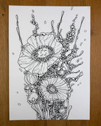 Celltype A97 - Print