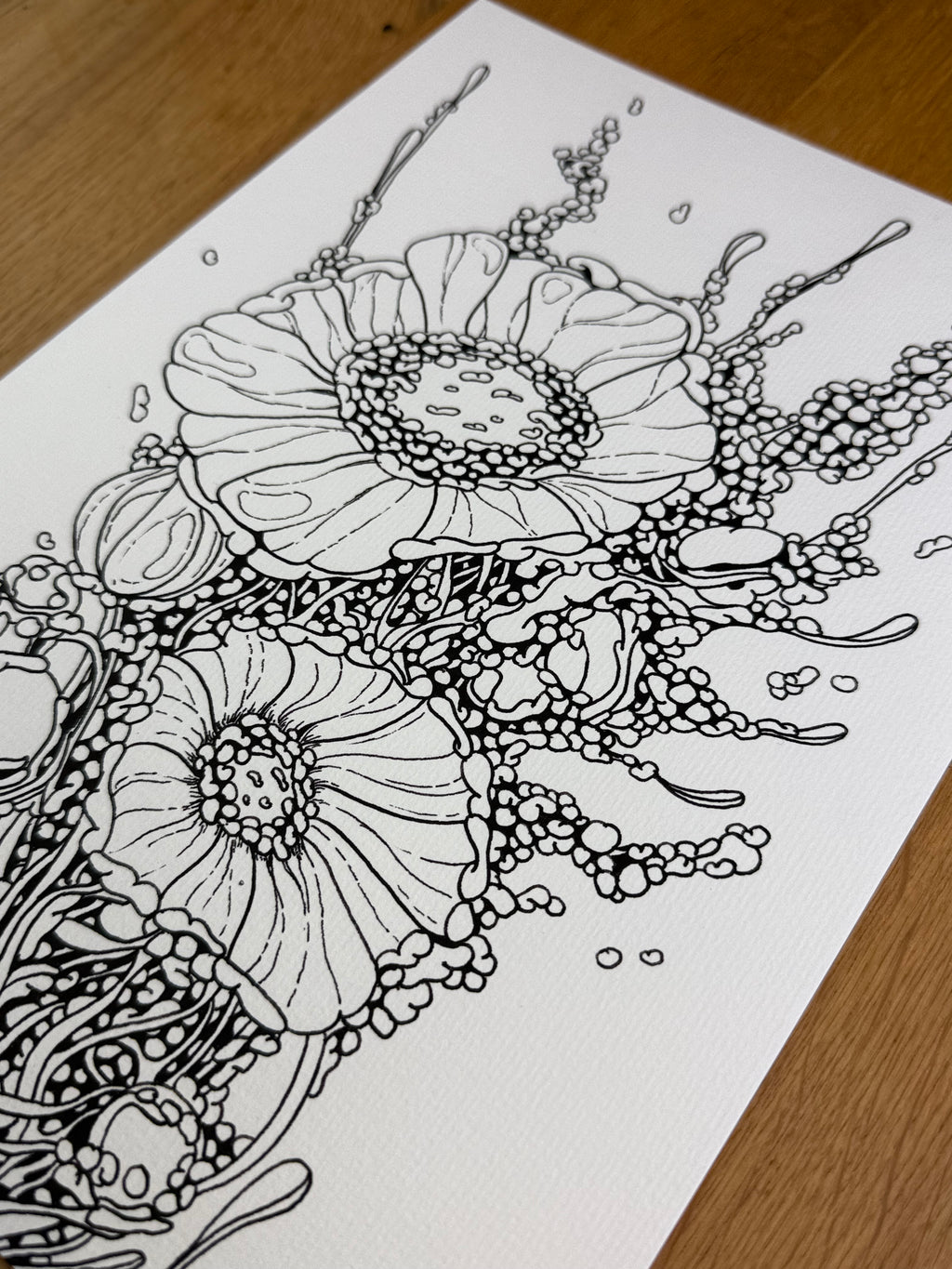 Celltype A97 - Print