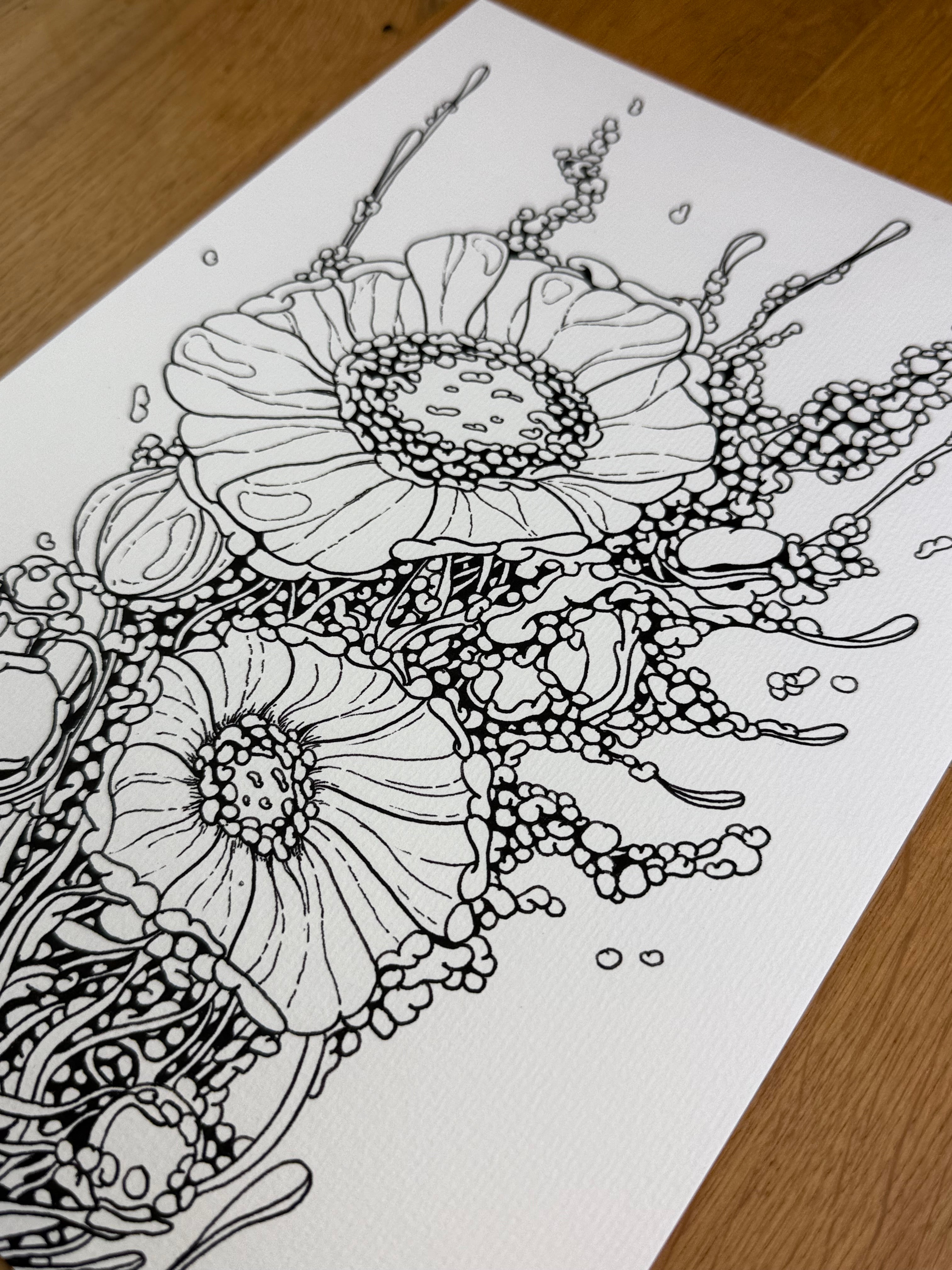 Celltype A97 - Print