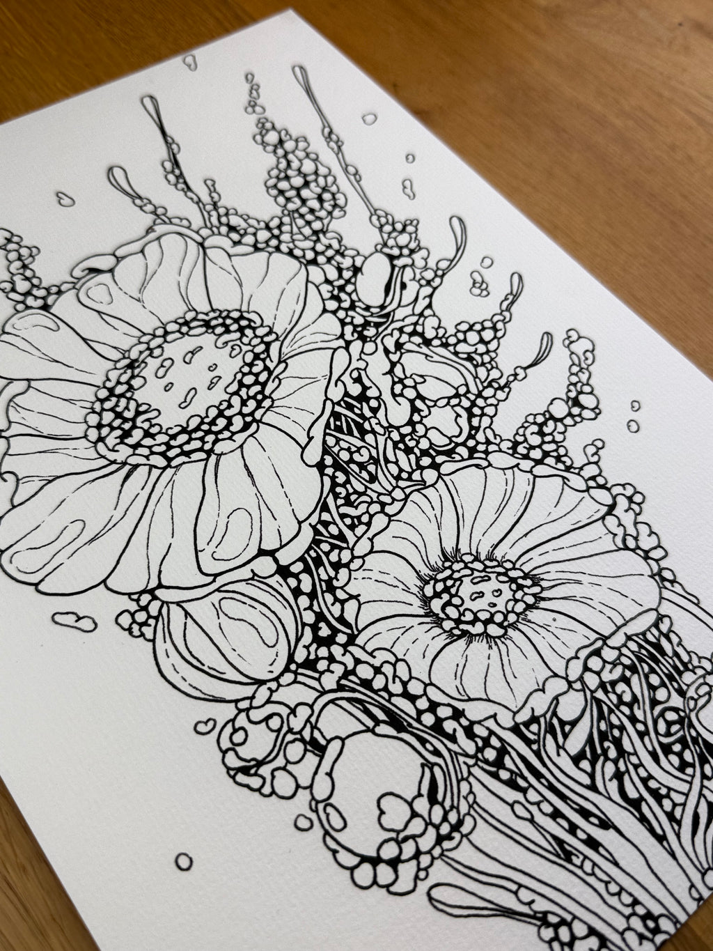 Celltype A97 - Print