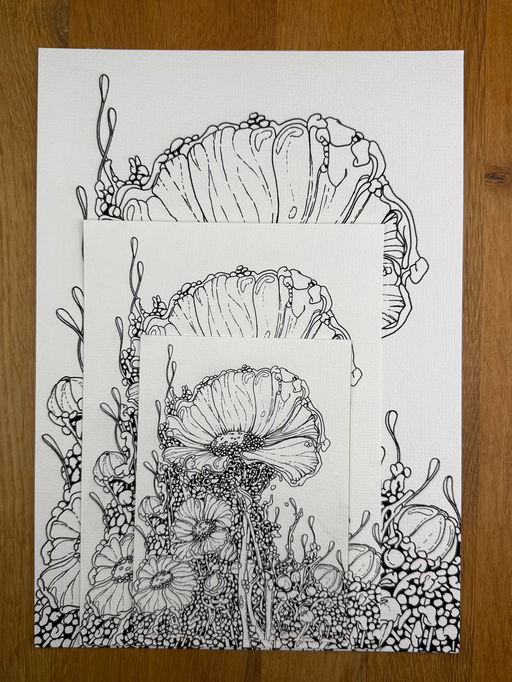 Bioform X5B - Print
