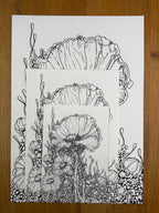 Bioform X5B - Print