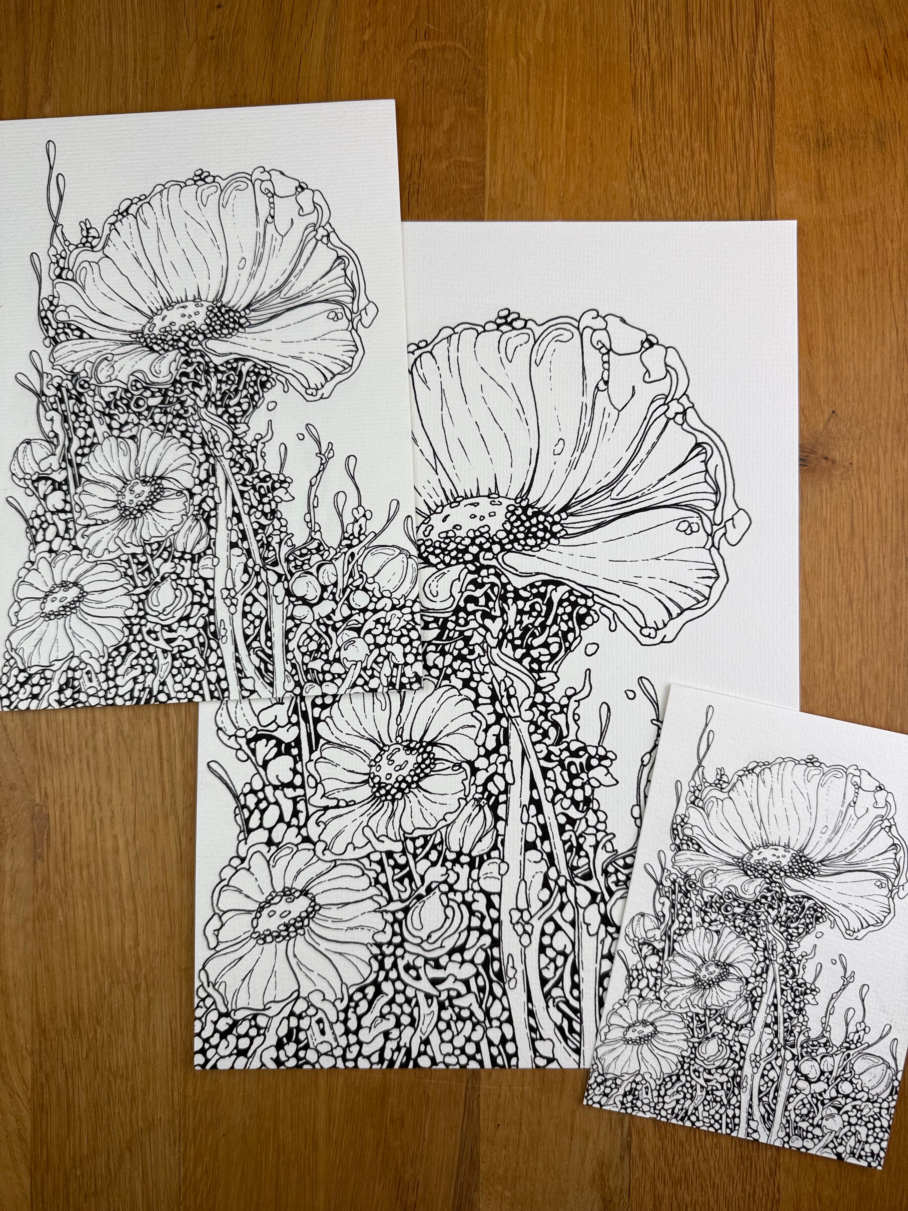 Bioform X5B - Print