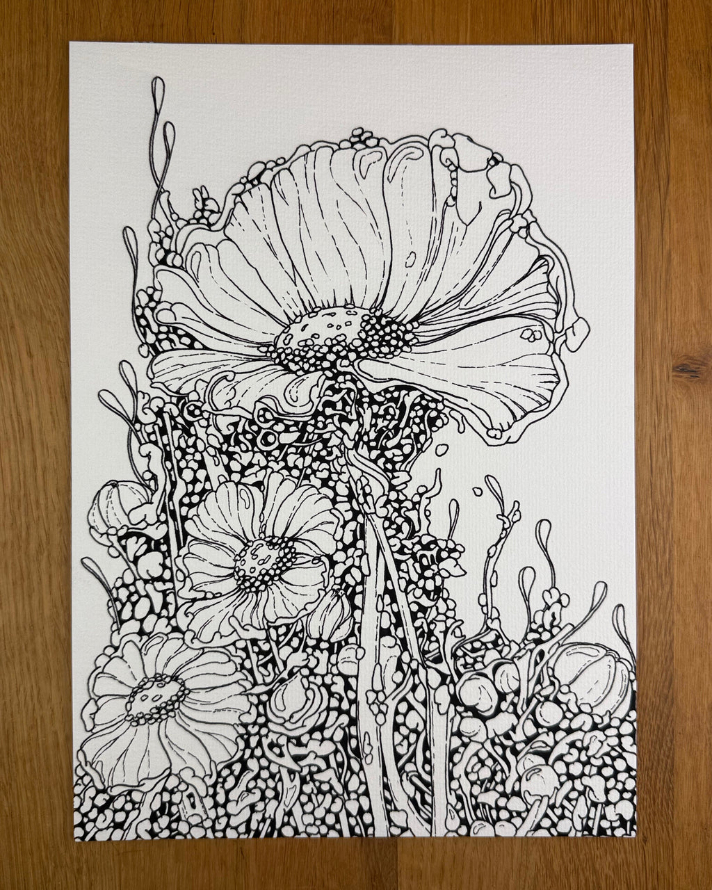 Bioform X5B - Print