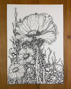 Bioform X5B - Print