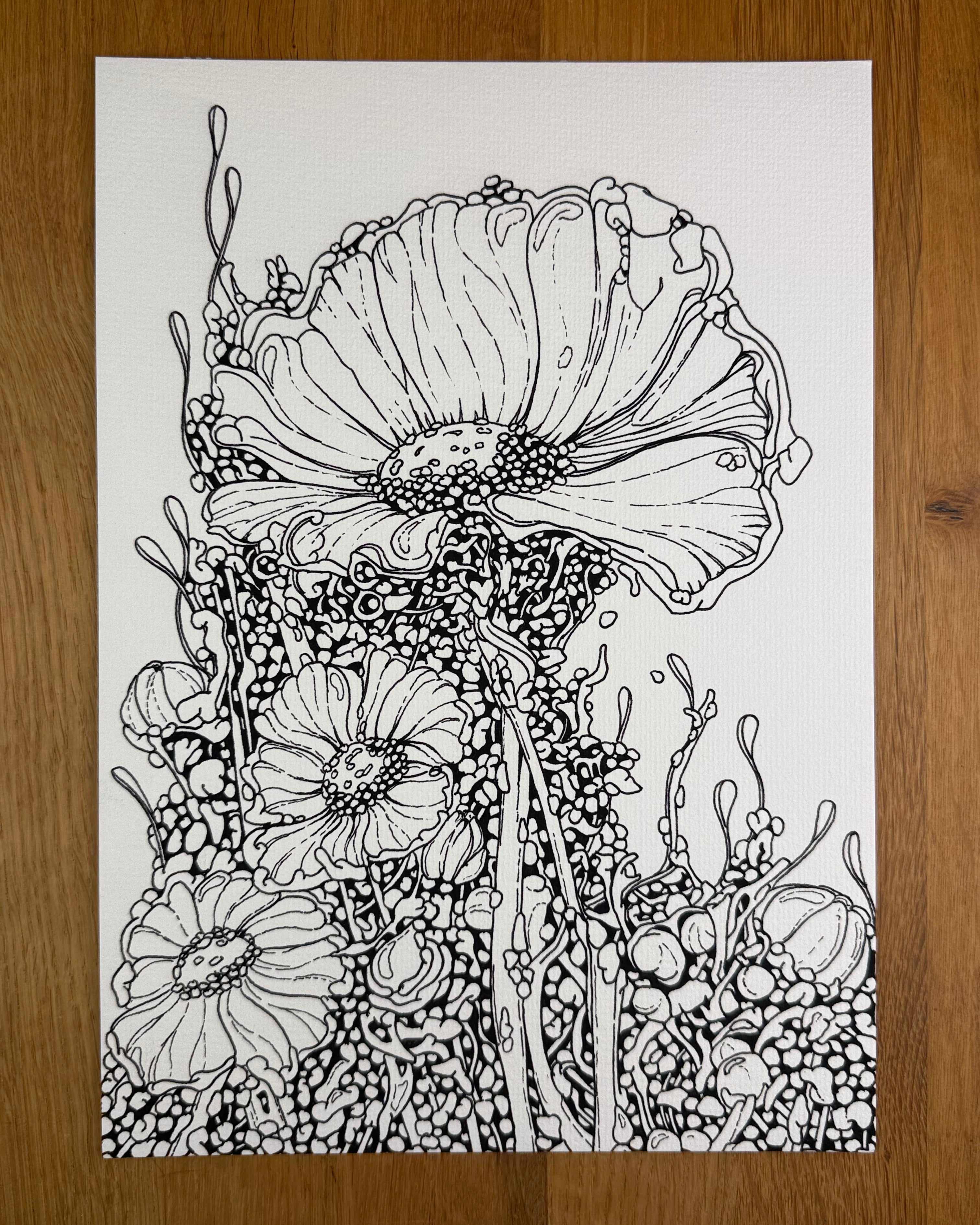 Bioform X5B - Print