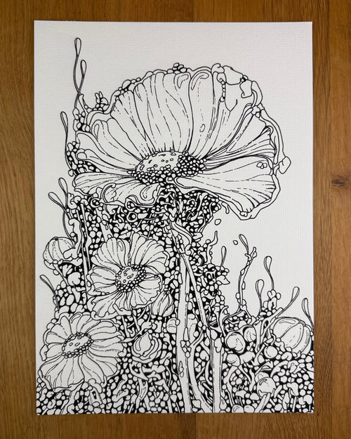 Bioform X5B - Print