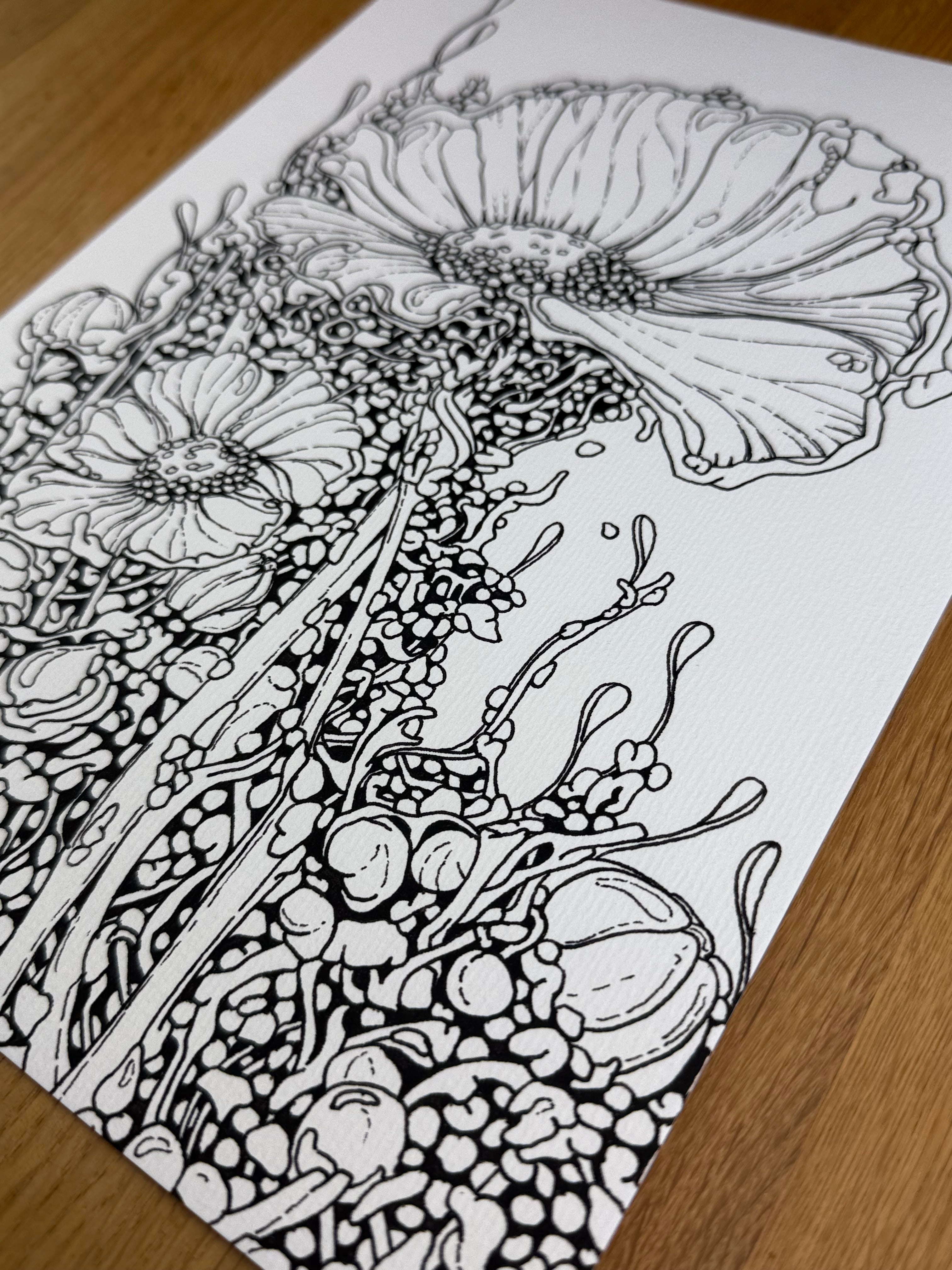 Bioform X5B - Print