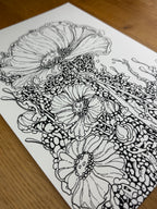 Bioform X5B - Print