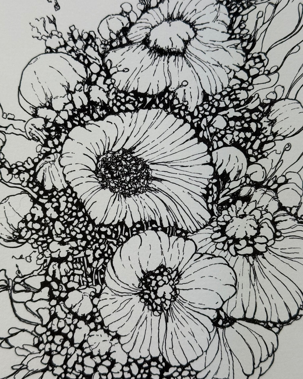 Cluster 1.2 - Original