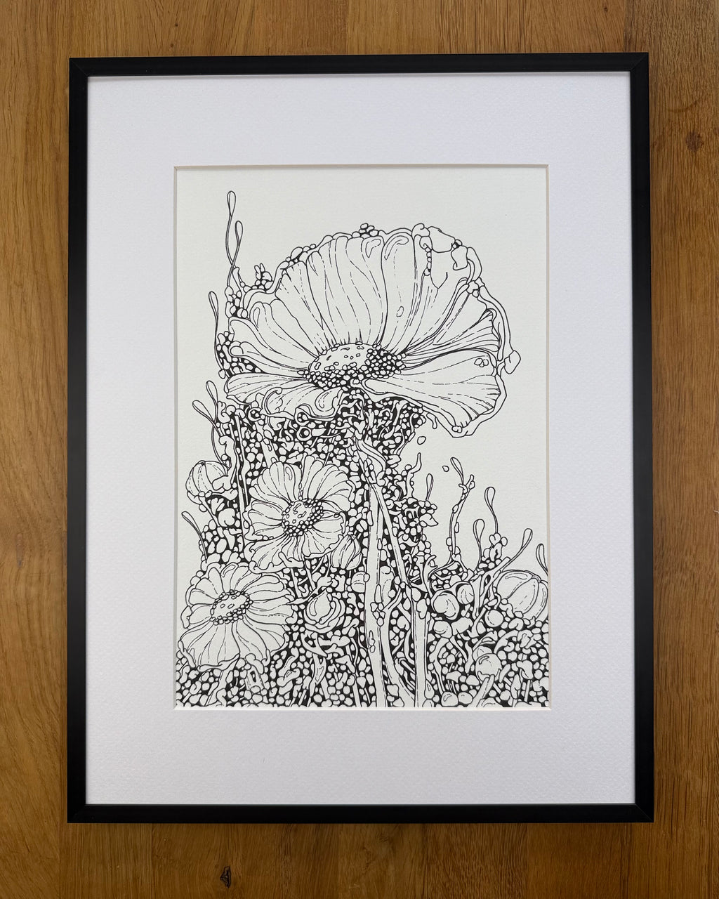 Bioform X5B - Original