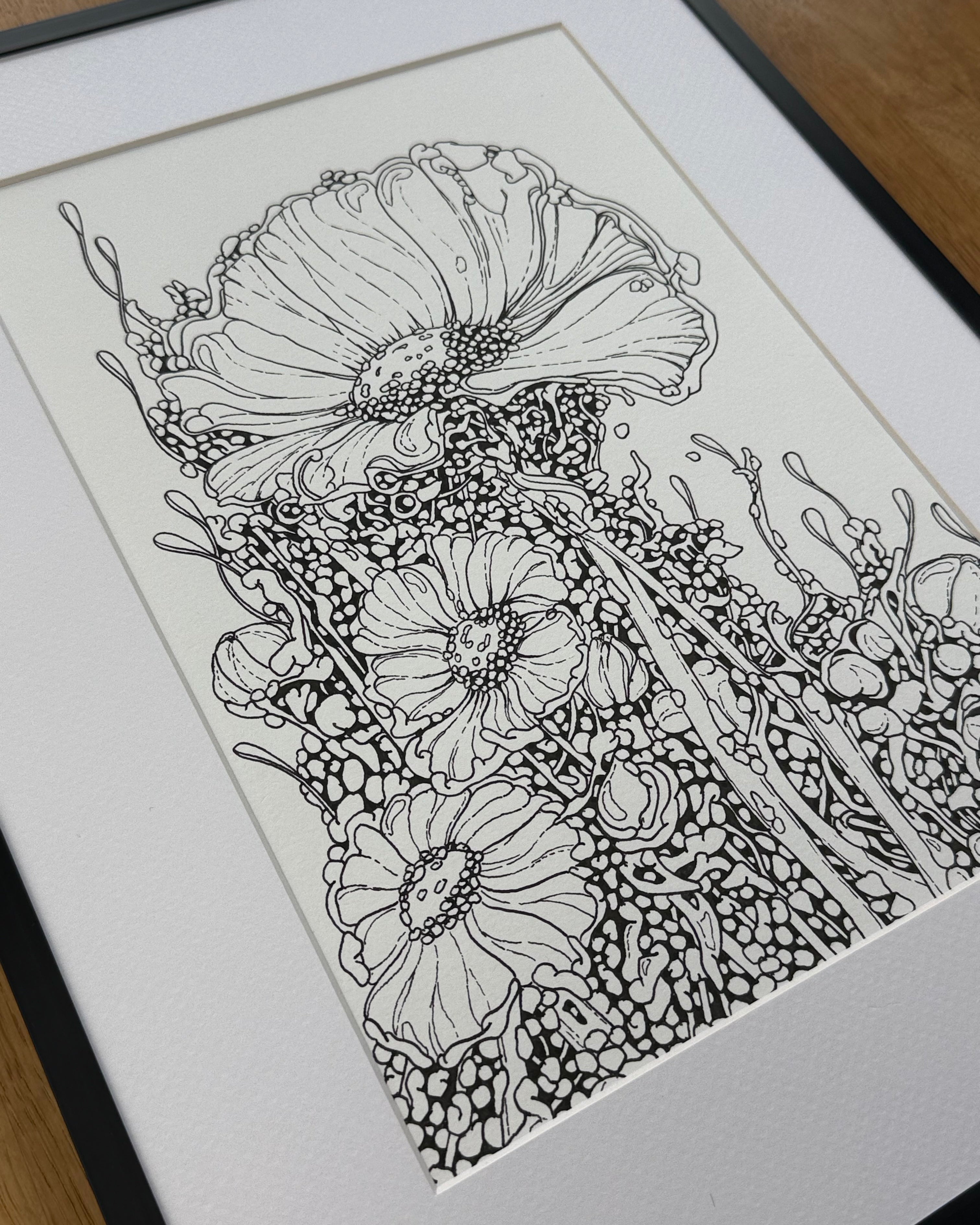 Bioform X5B - Original