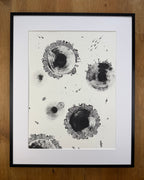 Colony Cluster - Original