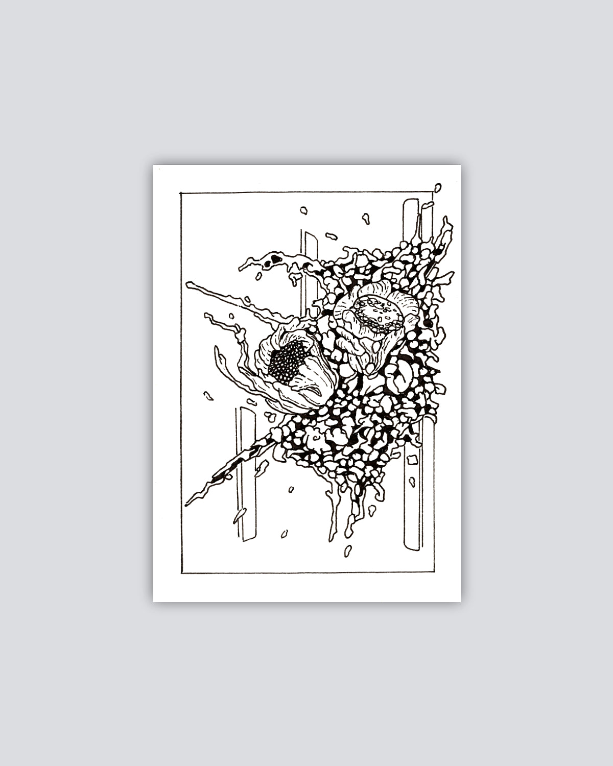 Micro-Blossom Type N3 - Print