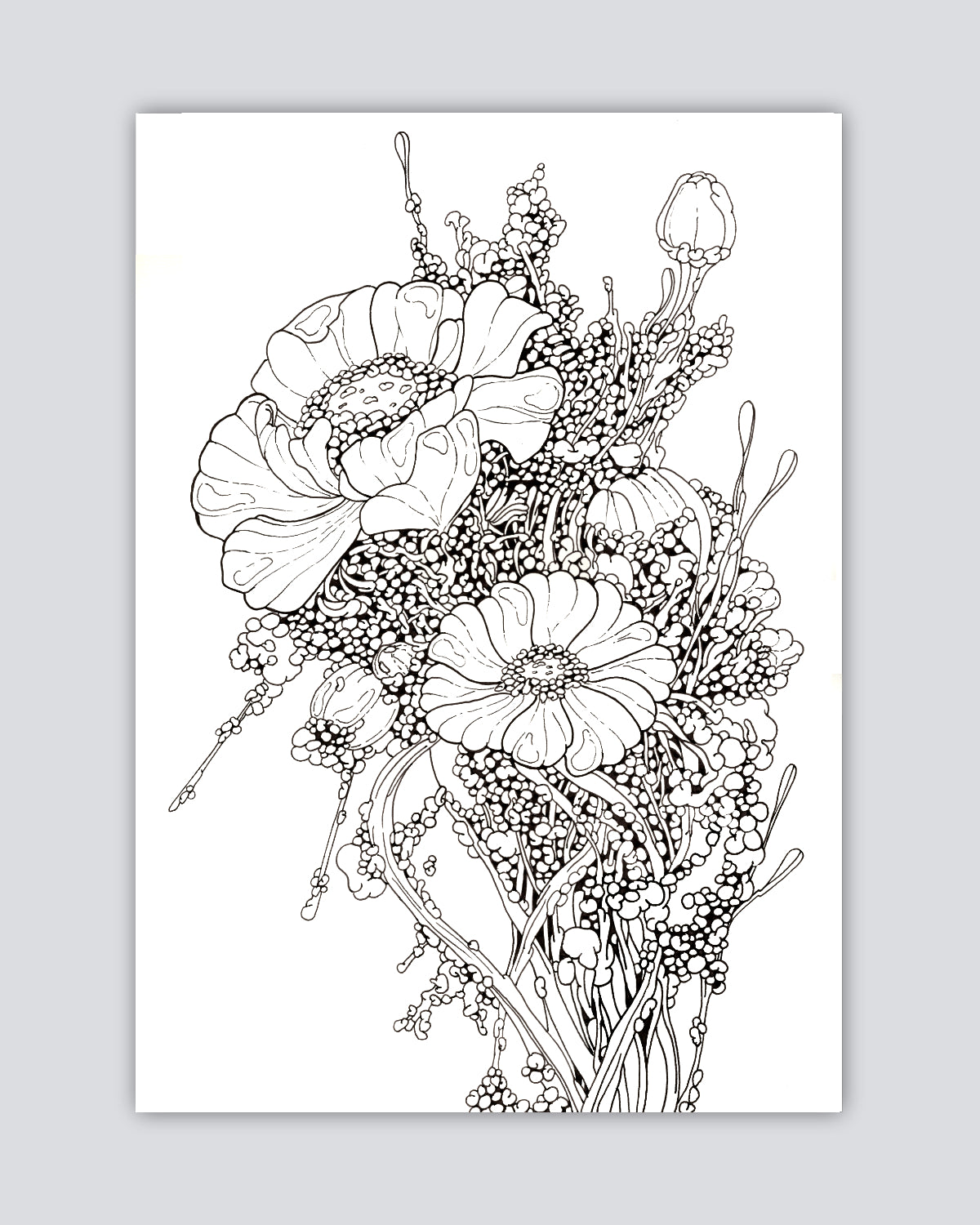 Root Entity v42 - Print